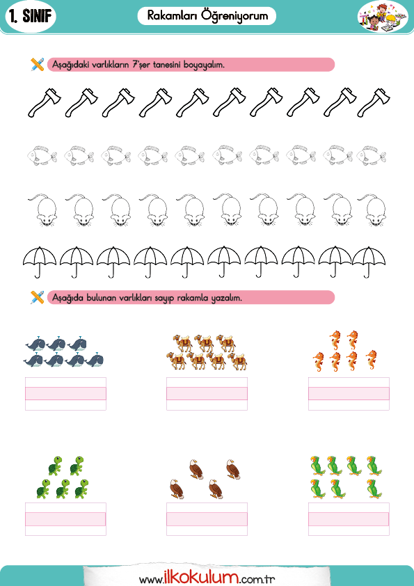 7 rakamı4